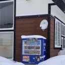 삿포로 여행(비에이투어)🇯🇵