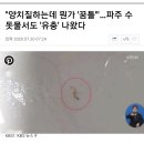 “양치질하는데 뭔가 ‘꿈틀’”…파주 수돗물서도 ‘유충’ 나왔다. 이미지