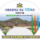 사평초 이미지