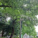 천주교 상동 성당 이미지