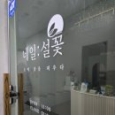 네일:설꽃
