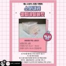 셀럽네일버킷