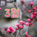 윤태화 포철공고 축하공연 &뇌 건강~~ 이미지