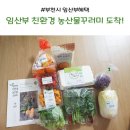 2월 임산부 친환경 농산물 택배후기 / 유기농친환경농산물 /