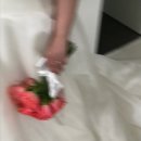 [공지] 부산드레스투어 현실 후기 | 루나스포사, 코코드브라이덜