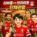 25/26 브라이튼전 안필드코리아 X 칼스버그 단체관람 공지 이미지