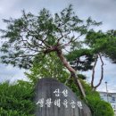 생활체육공원2 이미지