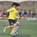 용인레이번스축구단 이미지