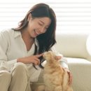 다니하우스 이미지