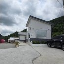 트랜드위드 이미지