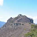 금성민박 이미지