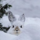 해피데이 이미지