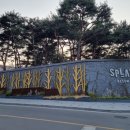 대장금 숯불갈비 이미지