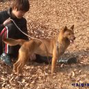 박상기농장 이미지