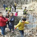 사단법인 한국숲유치원협회