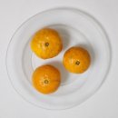 집에서 소청감 만들기🍊