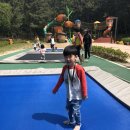 열린교실어린이집 이미지