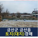 대지이용원 이미지