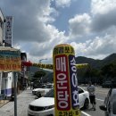 청강쏘가리 | [단양맛집] 청강쏘가리 매운탕 송어회 내돈내산 후기