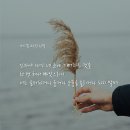 오홀리 이미지