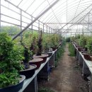 한솔농원 이미지