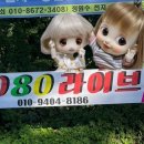 소라7080라이브 이미지
