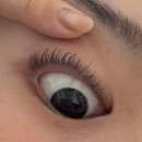 코니래쉬