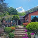 숲속의 섬 이미지