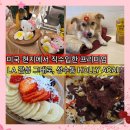 성수 할리아사이 HOLLY ACAI 시그니처 할리볼 아메리카노 내돈내산 애견동반 카페 후기