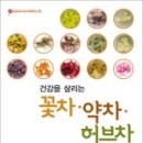 푸른솔문고 이미지