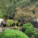 남부순환로328길 49__ 이미지