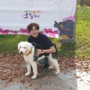 댕댕아 놀자 이미지