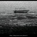 그리던바다 이미지