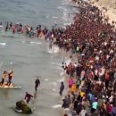 바다로가자 이미지