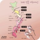 내일의 옆나라 일기예보 이미지