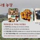 정주농장 이미지