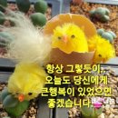 죽녹원5분거리민박