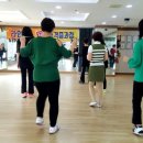 라인댄스 이미지