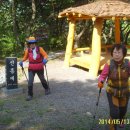 삼태농장 이미지