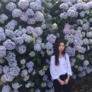 종달리삼거리 이미지