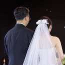 Peridot | 돈주고 한 웨딩스냅보다 만족했던 아이폰 스냅 후기 - 페리도트 스냅