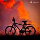 유한회사가스온 이미지