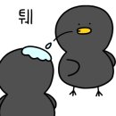 쿠니샌드위치