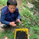 산골통상