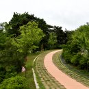 상상수목원 이미지