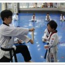 용인대 한얼 태권도 이미지