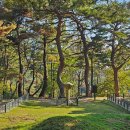 경주시서면도리보건진료소 이미지