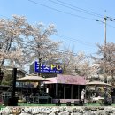 GS25 천안원성천점 네이버블로그