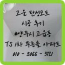 TS1차 | 양주 탄성코트 TS푸른솔 1차 베란다 곰팡이 결로 페인트 제거