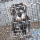 기라성볼링장 이미지